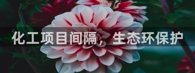 亿万先生mr07