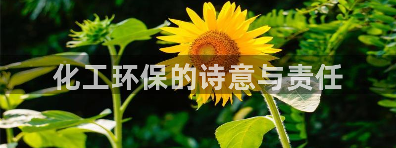 亿万手游官网：化工环保的诗意与责任
