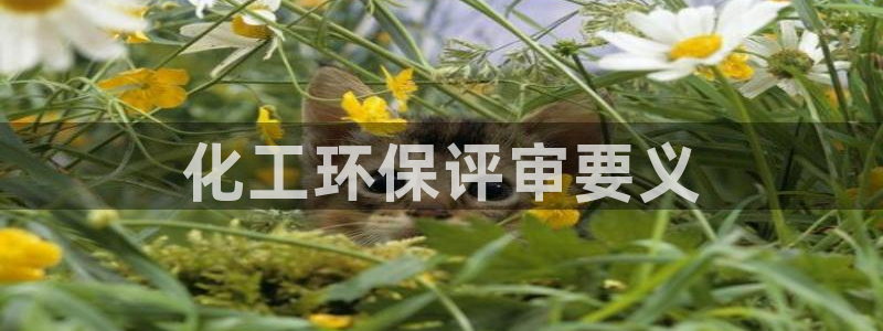 亿万百度百科：化工环保评审要义